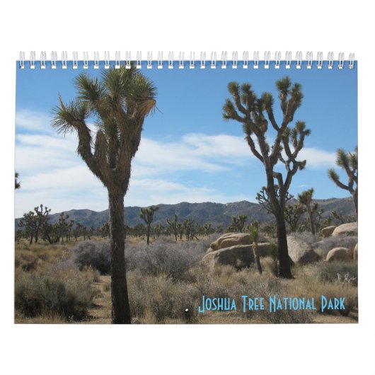 Joshua Tree Nationalpark Kalender (Titelbild)