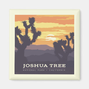 Joshua Tree Nationalpark   Kalifornien Magnet