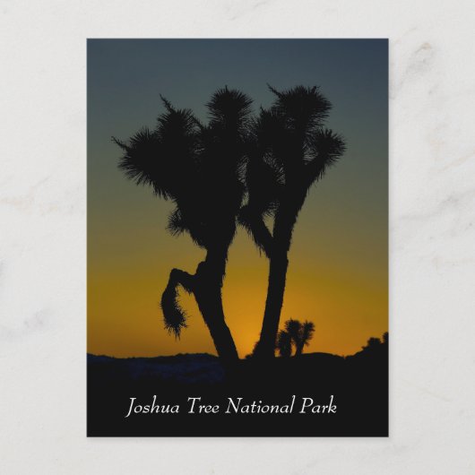 Joshua Tree Nationalpark, Kalifornien Postcard Postkarte (Vorderseite)