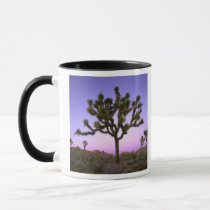 JOSHUA-TREE-NATIONALPARK, KALIFORNIEN. USA. TASSE
