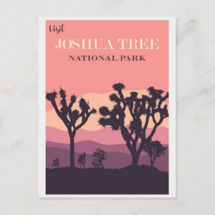 Joshua Tree Nationalpark Kalifornien Vintage Rosa Postkarte