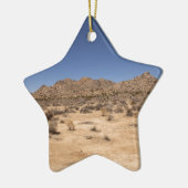 Joshua Tree Nationalpark Keramikornament (Links)