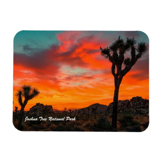 Joshua Tree Nationalpark Magnet (Horizontal)
