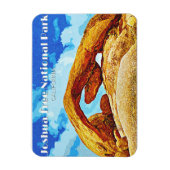 Joshua Tree Nationalpark Magnet (Vertikal)