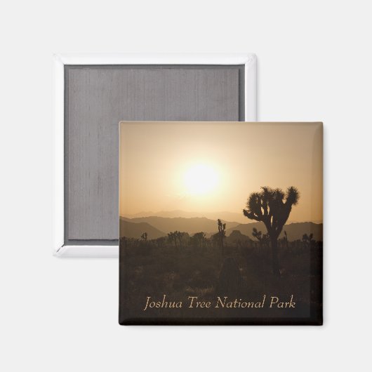 Joshua Tree Nationalpark Magnet (Vorderseite/Rückseite)