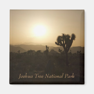 Joshua Tree Nationalpark Magnet