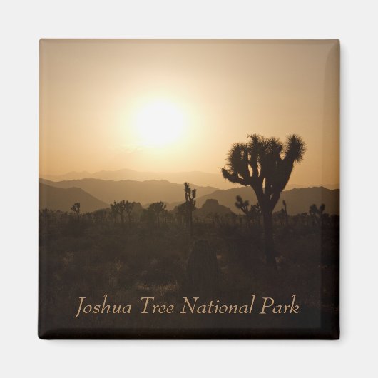 Joshua Tree Nationalpark Magnet (Vorne)