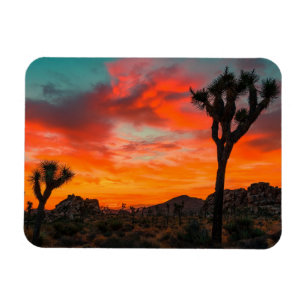 Joshua Tree Nationalpark Magnet
