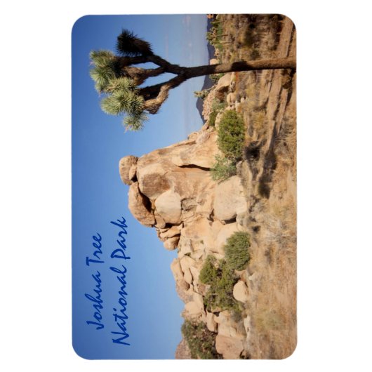 Joshua Tree Nationalpark Magnet (Vertikal)