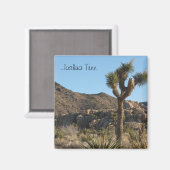 Joshua Tree Nationalpark Magnet (Vorderseite/Rückseite)