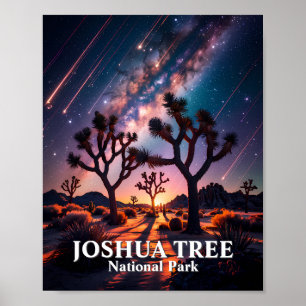 Joshua Tree Nationalpark Nachthimmel Milchstraße Poster