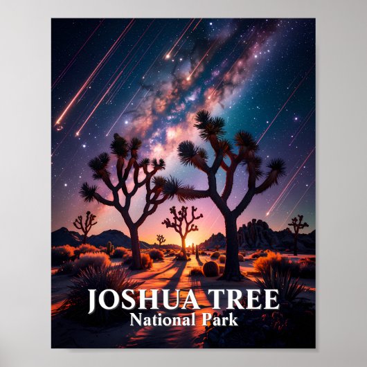 Joshua Tree Nationalpark Nachthimmel Milchstraße Poster (Vorne)