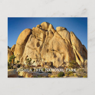 Joshua Tree Nationalpark Postcard Postkarte