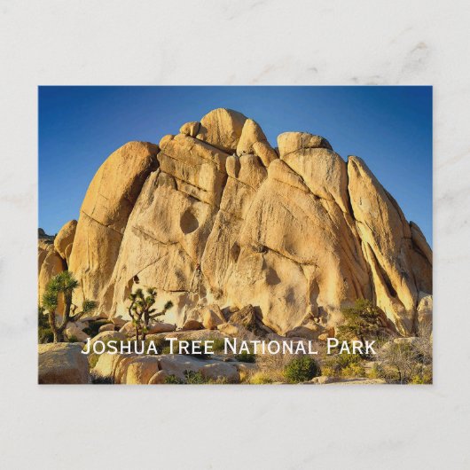 Joshua Tree Nationalpark Postcard Postkarte (Vorderseite)