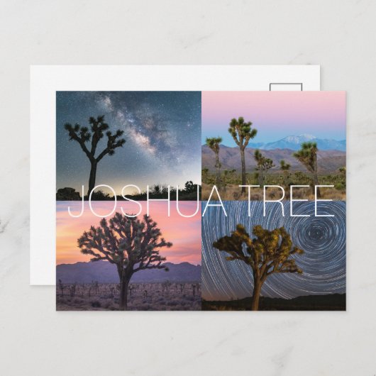 Joshua Tree Nationalpark Postcard Postkarte (Vorne/Hinten)