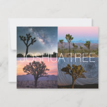 Joshua Tree Nationalpark Postcard