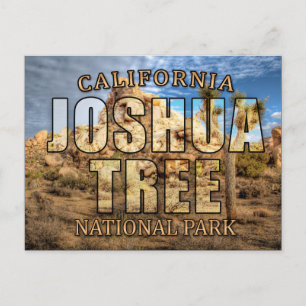 Joshua Tree Nationalpark Postcard Postkarte