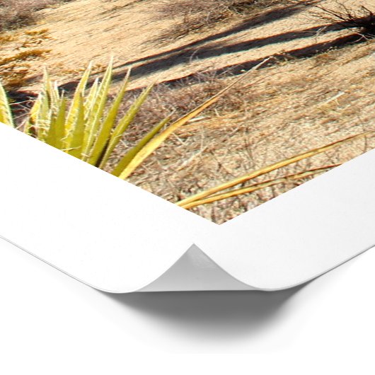 Joshua Tree Nationalpark Poster (Ecke)