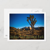Joshua Tree Nationalpark Postkarte (Vorne/Hinten)