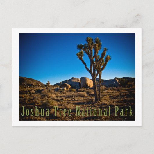 Joshua Tree Nationalpark Postkarte (Vorderseite)