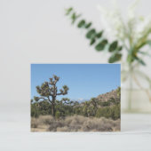 Joshua Tree Nationalpark Postkarte (Stehend Vorderseite)
