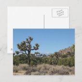 Joshua Tree Nationalpark Postkarte (Vorne/Hinten)