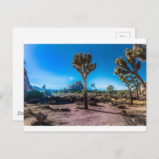 Joshua Tree Nationalpark Postkarte (Vorne/Hinten)