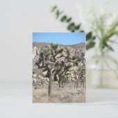 Joshua Tree Nationalpark Postkarte (Stehend Vorderseite)