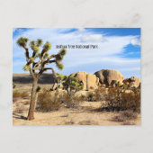 Joshua Tree Nationalpark Postkarte (Vorderseite)