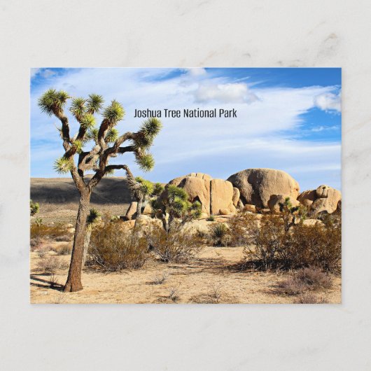 Joshua Tree Nationalpark Postkarte (Vorderseite)
