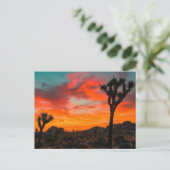 Joshua Tree Nationalpark Postkarte (Stehend Vorderseite)