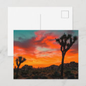 Joshua Tree Nationalpark Postkarte (Vorne/Hinten)