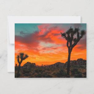 Joshua Tree Nationalpark Postkarte