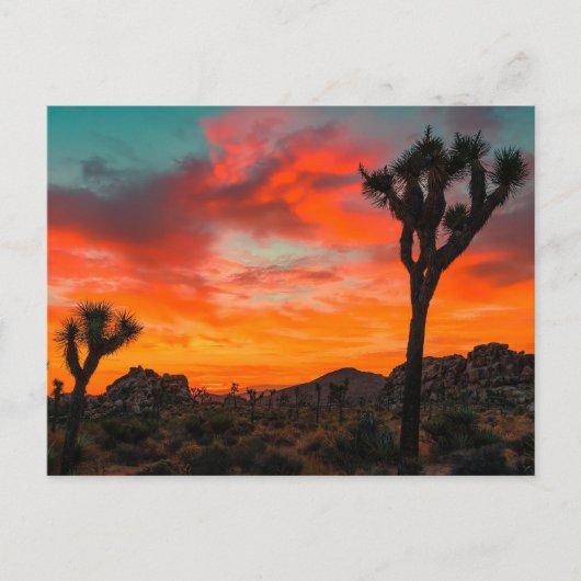 Joshua Tree Nationalpark Postkarte (Vorderseite)
