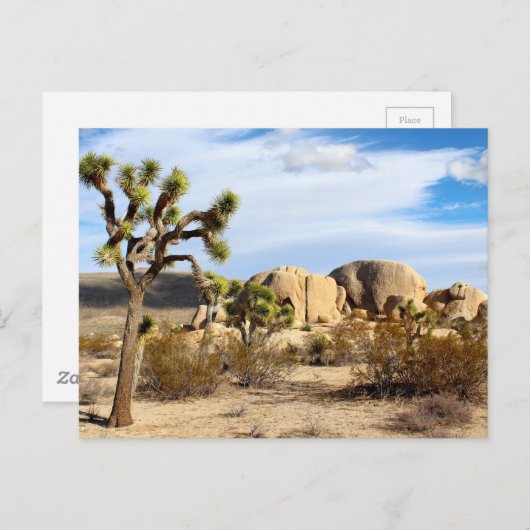 Joshua Tree Nationalpark Postkarte (Vorne/Hinten)