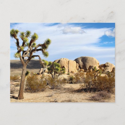 Joshua Tree Nationalpark Postkarte (Vorderseite)