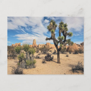 Joshua Tree Nationalpark Postkarte