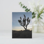 Joshua Tree Nationalpark Postkarte (Stehend Vorderseite)