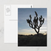 Joshua Tree Nationalpark Postkarte (Vorne/Hinten)