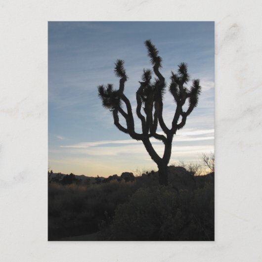 Joshua Tree Nationalpark Postkarte (Vorderseite)