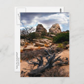 Joshua Tree Nationalpark Postkarte (Vorne/Hinten)
