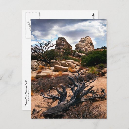 Joshua Tree Nationalpark Postkarte (Vorne/Hinten)