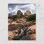 Joshua Tree Nationalpark Postkarte (Vorderseite)