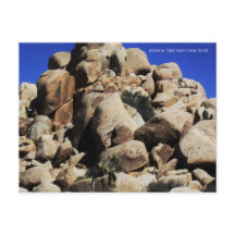 Joshua Tree Nationalpark