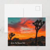 Joshua Tree Nationalpark Postkarte (Vorne/Hinten)