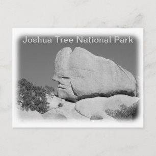 Joshua Tree Nationalpark Postkarte! Postkarte