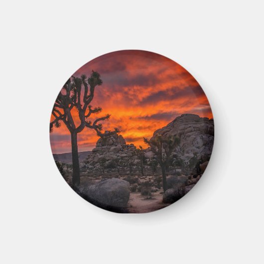Joshua Tree Nationalpark Red Sunset Magnet (Vorne)