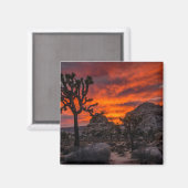 Joshua Tree Nationalpark Red Sunset Magnet (Vorderseite/Rückseite)