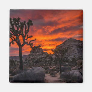 Joshua Tree Nationalpark Red Sunset Magnet