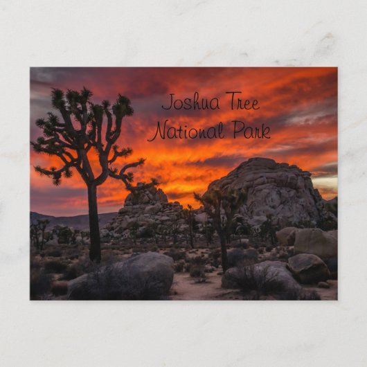 Joshua Tree Nationalpark Red Sunset Postkarte (Vorderseite)